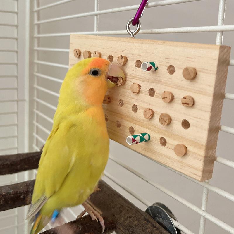 Parrot Bird Nibbling and Grinding Its Beak Peony Mysterious Phoenix Small Sun Tearing Training Puzzle Solving Toys