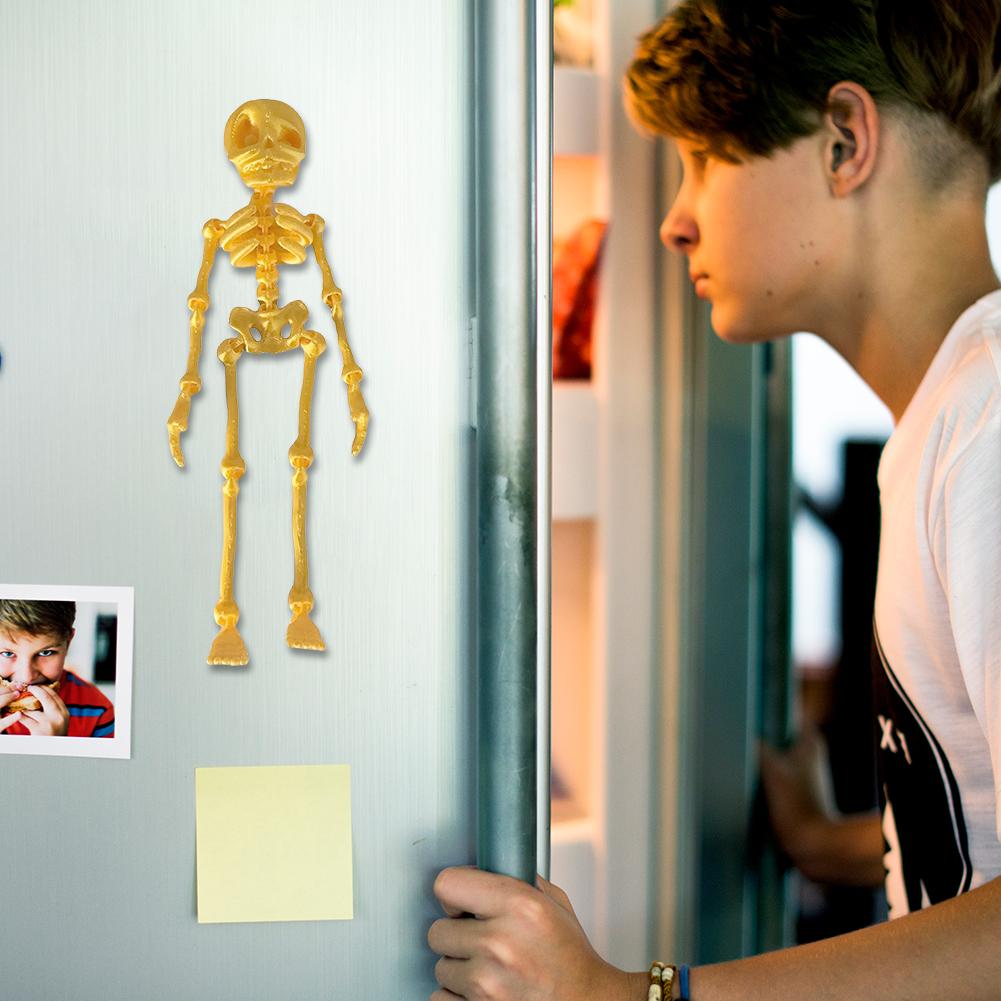 Full Body Skeleton Fridge Magnets with Movable Joints Skull Fridge Magnets for Kitchen Office and Locker Halloween Decoration