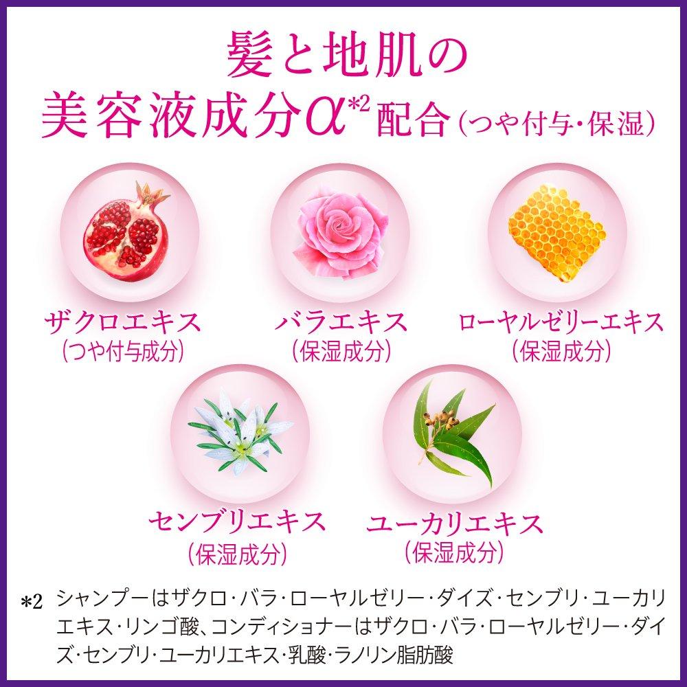 Segreta Conditioner Refill 285ml