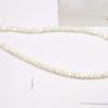 1String, White Yellow Natural Shell Beads for Jewelry Making DIY Necklaces, Bracelets Anklets Accessory, Unique Gifts for Halloween, Christmas 38cm
