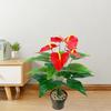 Real Touch Artificial Palm Fronds 35/50CM Fake Plants  Living Room Bedroom Decor