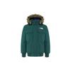 Down Jacket Men's NF0A5GD9-D7V