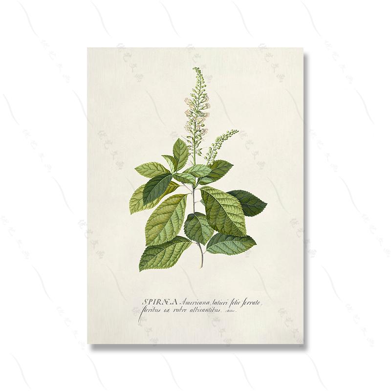 

Аннотация Yayoi Kusama Wall Art Матисс Плакаты и принты Зеленый цветок Ван Гог Холст Картина Настенная картина Декор 21x30cm No Framed