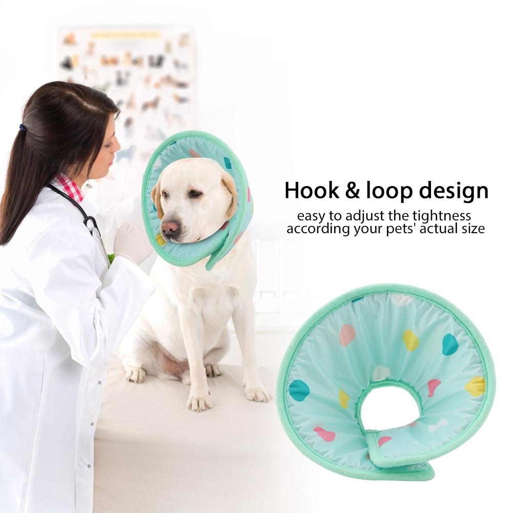 cone protector for dogs
