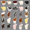 50 original cow cartoon cute animals for kids cognitive goo card handbook decoration notebook suitcase stickers
