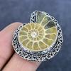 Ammonit Fossil Edelstein 925 Sterling Silber Schmuck Ring Größe 9