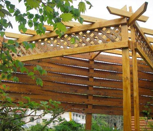 Campehapio Transparent Wood Insect Mildew Algae Wood Protection Made In 00237643551140 Paint, Oil-based, Color, Protection, Repellent, Preservative,