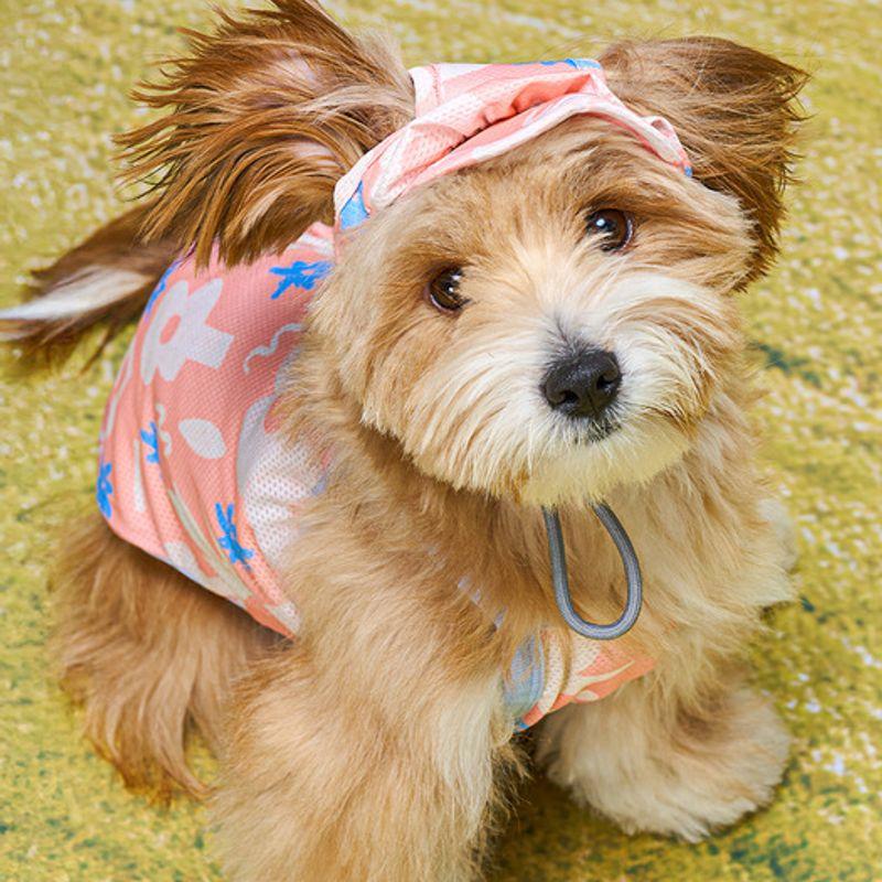 MUNIKUND Bug Guard Cap : M-Band Coral