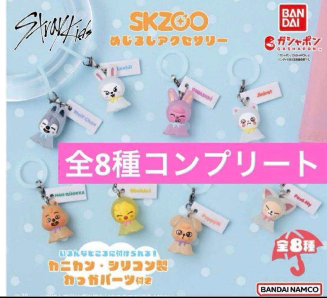 

[Б/У] Полный набор аксессуаров с автографами SKZOO