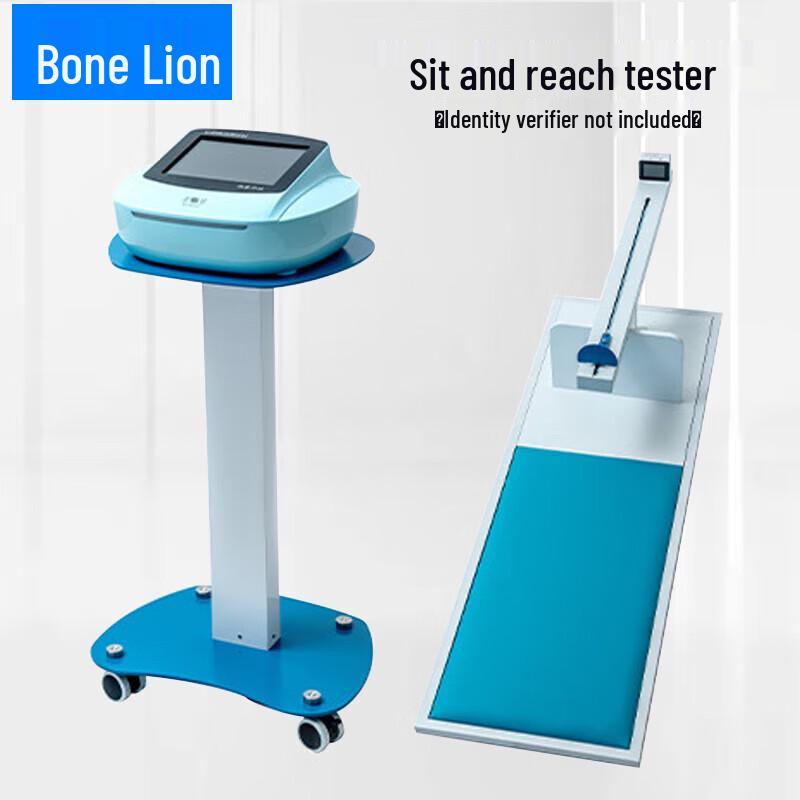 Student Physical Fitness Test Mat