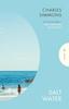Salt Water by Charles Simmons Paperback Book 9781805332763