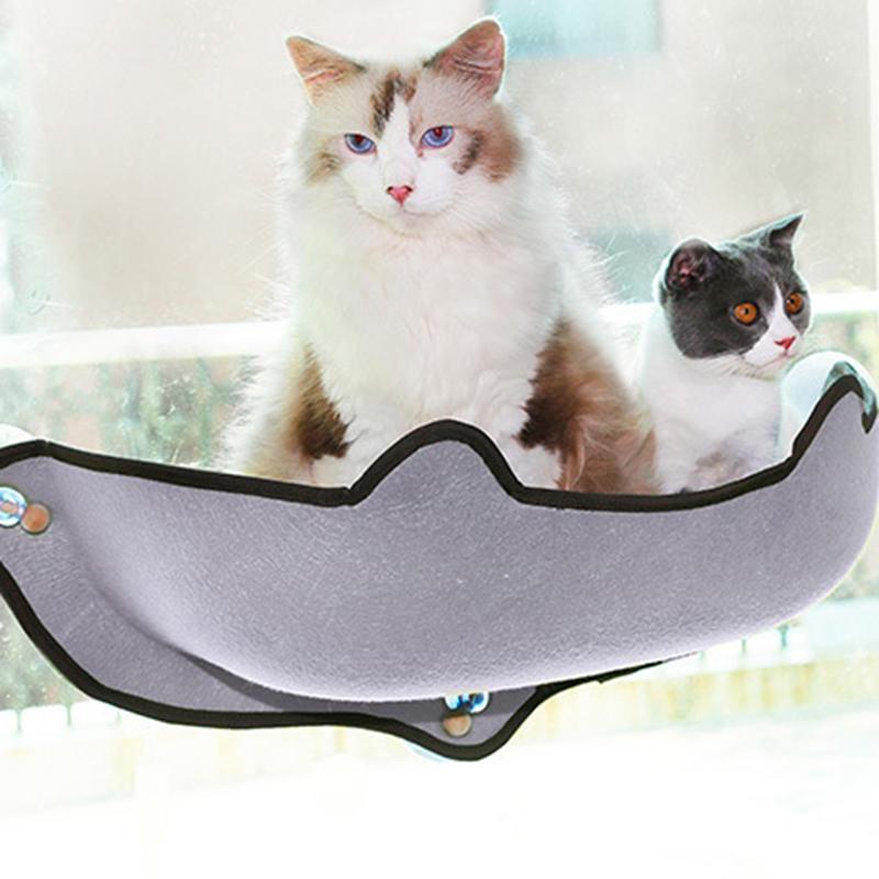 cat bed window suction cups