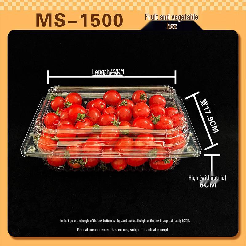 

Disposable Transparent Food Container with Lid