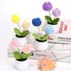 Hand-Woven Wool Tulip Plant: Creative Desktop Ornament & Graduation Gift