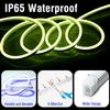 12V RGB Neon LED Strip Light Waterproof Flexible Silicone Tape with Bluetooth APP & 48-Key Remote for Home Christmas Party Decoration