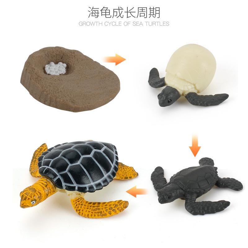 Hot Animal Life Cycle Board Children Toys Montessori Teaching Aids Plant Animal Growth Cycle Model Set Preschool Cognitive Toys