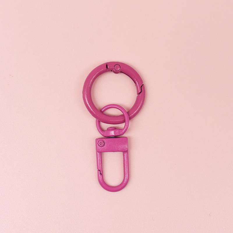 Colorful U-Shaped Metal Spring Buckle Keychain Accessory