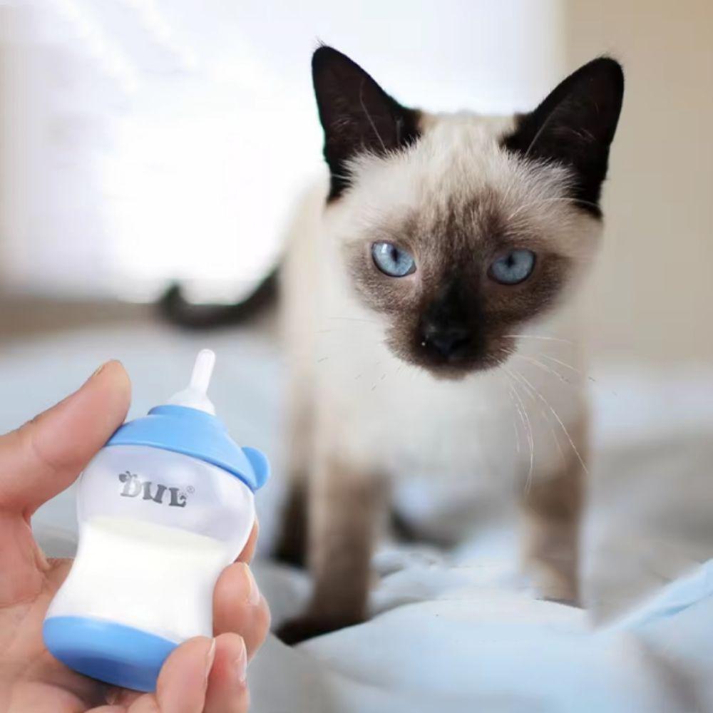 Anti Choking Kitten Nipple Bottle Bite Resistance Cat Pacifier Feeder  For Kitten Puppy Rabbits