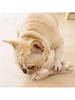 Bone Dog Toy Pet Bite Resistant Plush Puppy Squeaky Toy Squeaky Sound Funny Toy For Dogs Molar Chew Toys Dog Accessories