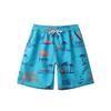 Men's Summer Casual Beach Vacation Straight-leg Shorts - Breathable and Quick-drying Beach Pants