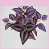 Ipomoea Batatas Faux Plant Wall Art With Durable Material For Indoor Spaces And Displays