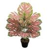 Nordic Style Variegated Monstera: Potted Plant for Home & Garden Decor