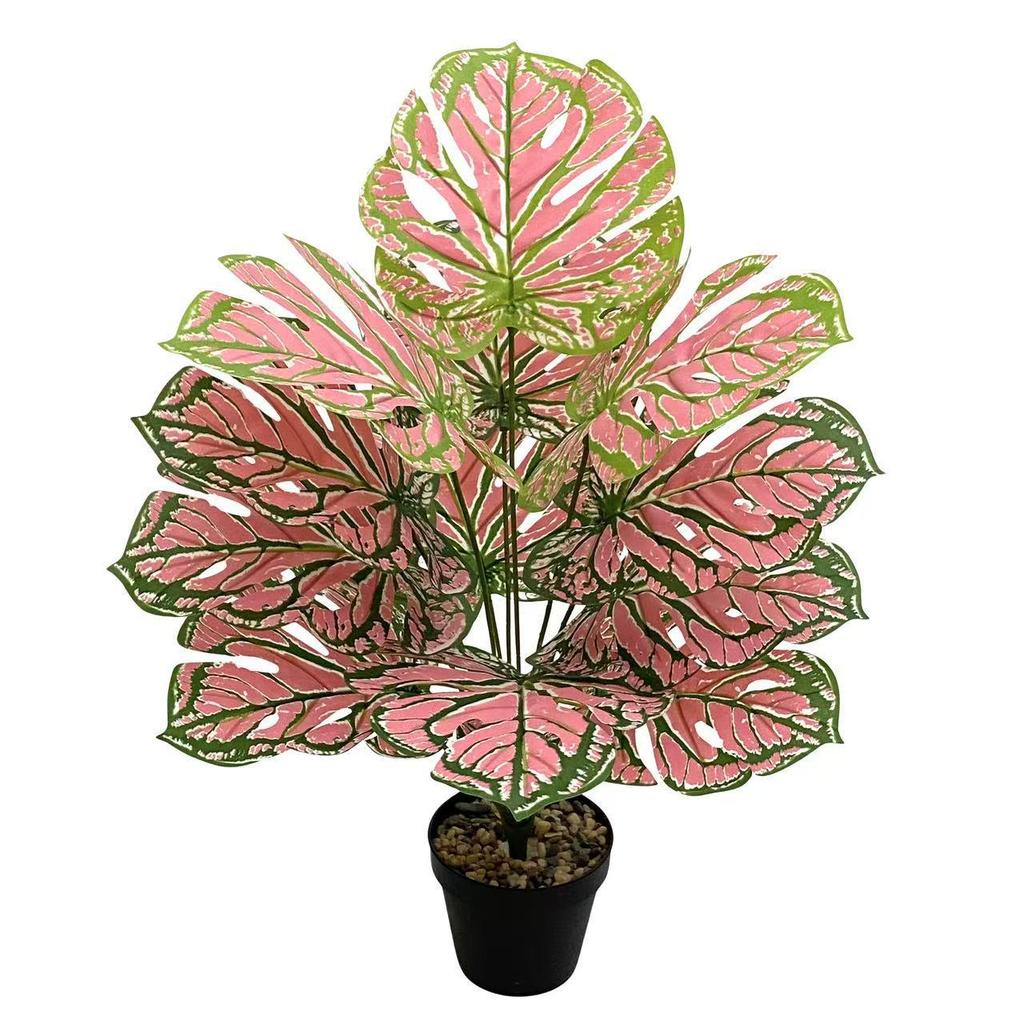 Nordic Style Variegated Monstera: Potted Plant for Home & Garden Decor