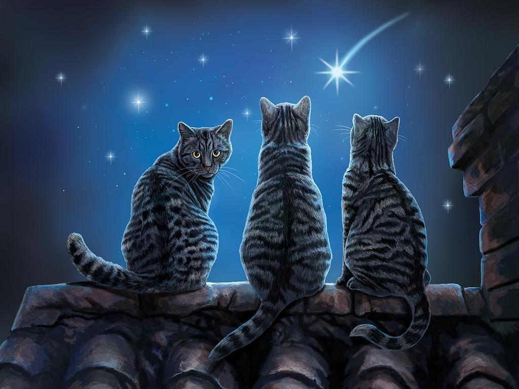 Yamasan Prime 3D Lisa Parker When You Wish Upon a Star 10191 Finished 61 X 46cm 500 Pieces Size /