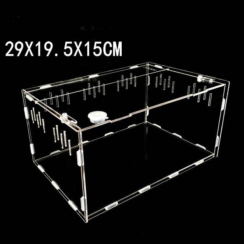 bunny leashes petsmart