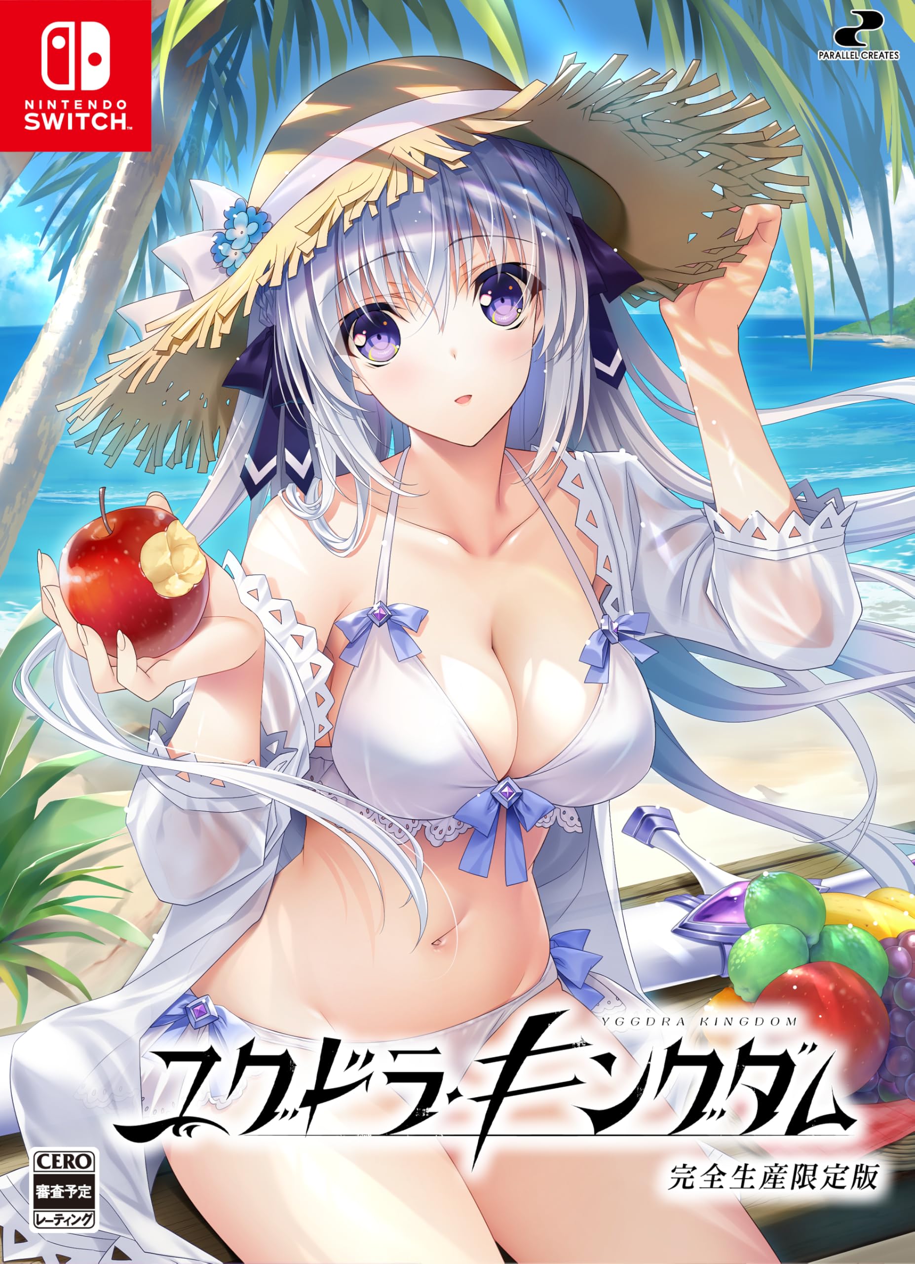 Yggdra Kingdom Limited Edition Switch B2 Art Book Included - [Bonus] Tapestry,