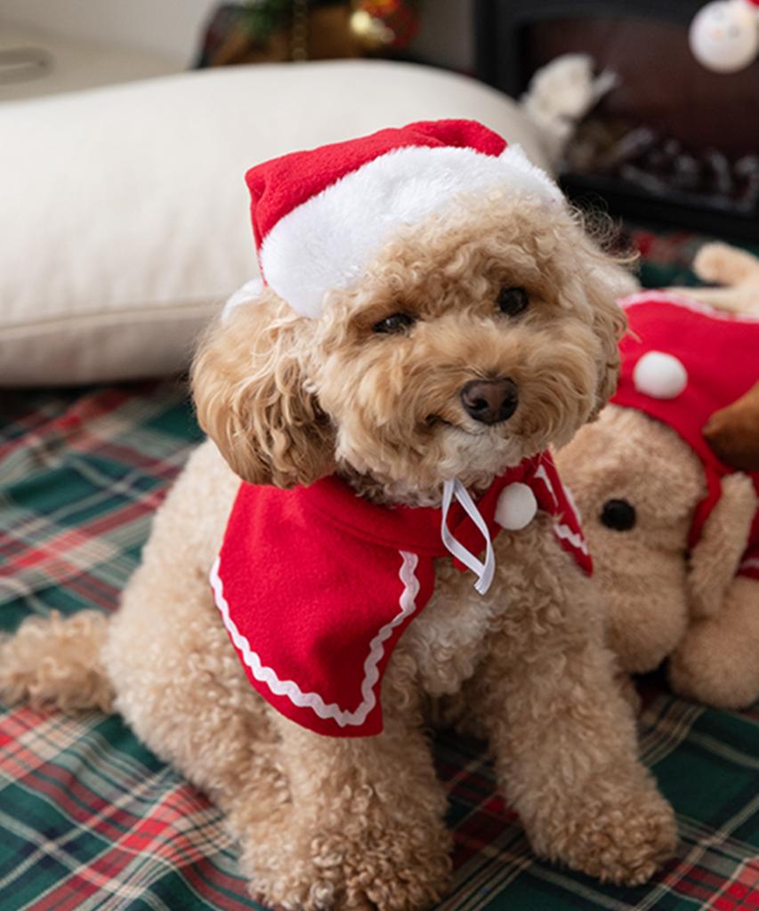 Lyubeullyusyab Christmas Pet Balaclava Hat Cape Set 2 Types 3 Sizes