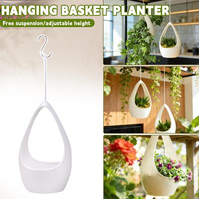 Vattendroppe Hängkorg Blomkruka, Hängande Korgväxter Hänger