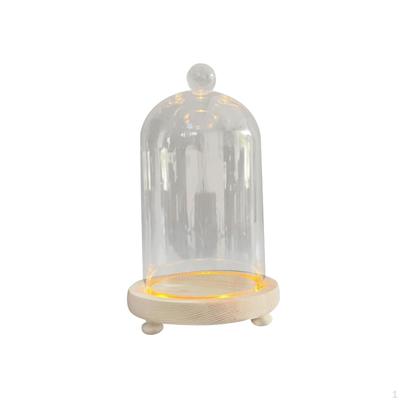 Clear Glass Cloche Dome Bell Jar Dustproof Display Case Flower Cover with Wooden Base