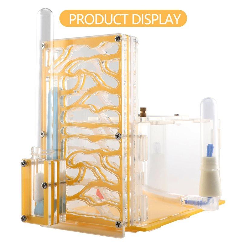Insect Ant Nest T-Design Feeding Area Acrylic Farm Insect Villa House Ant Nest Gift Birthday Present
