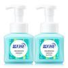 Blue Moon Fruit Mint Foaming Antibacterial Hand Soap