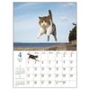 Art Print Japan 2027 Flying Cats Wall Calendar, Jumping Cat Photography Paper Calendar 260x370mm