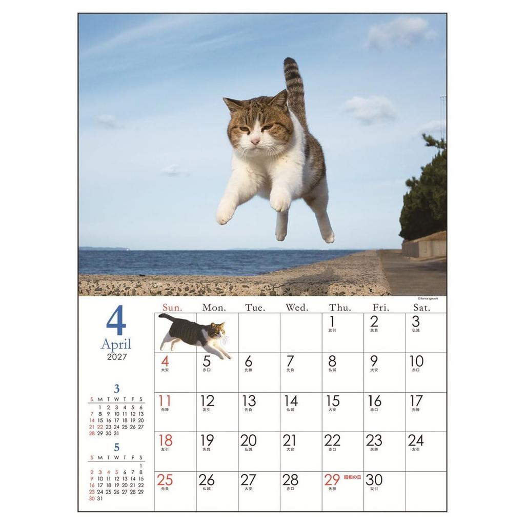 Art Print Japan 2027 Flying Cats Wall Calendar, Jumping Cat Photography Paper Calendar 260x370mm