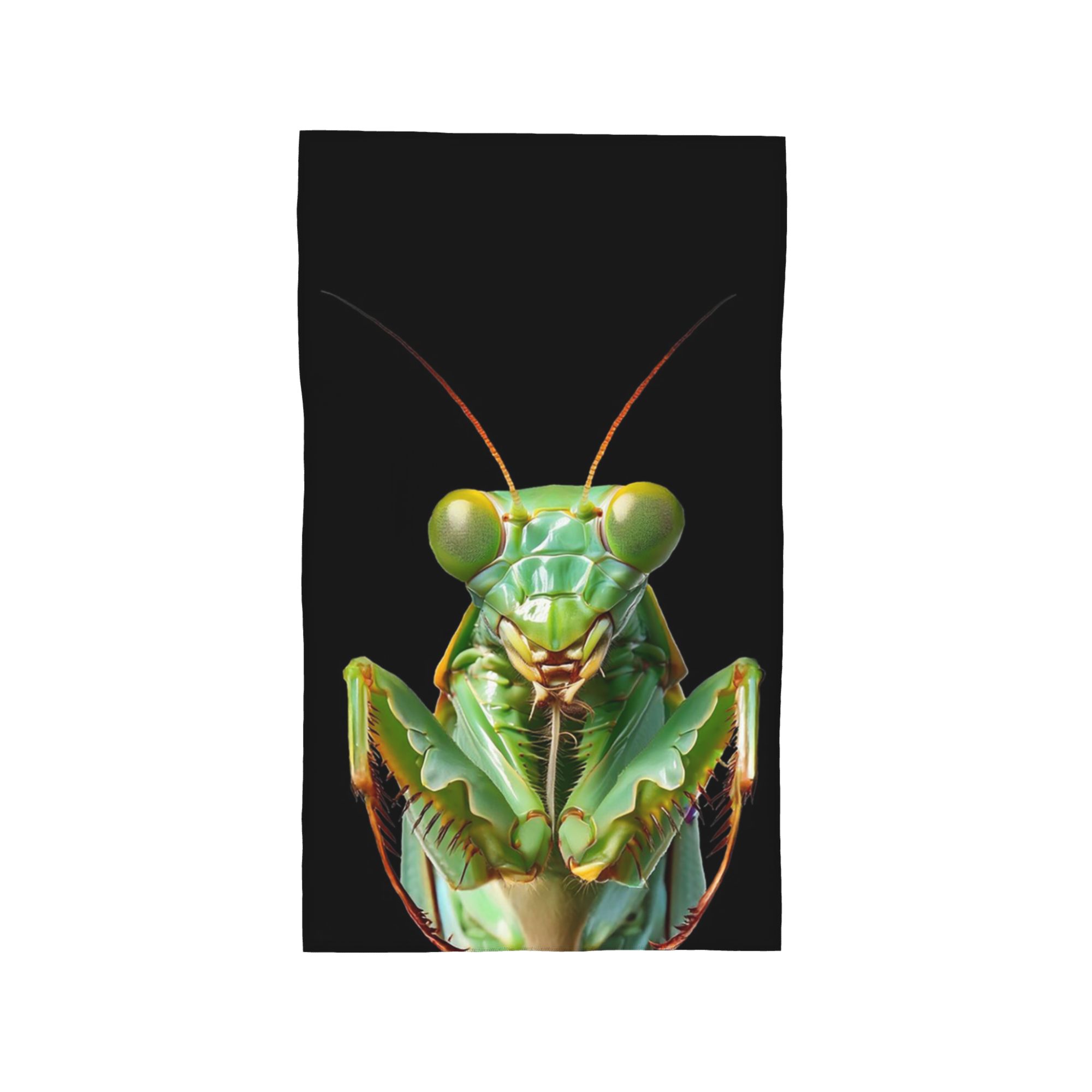 

Green Praying Mantis, Eerie Insect Art Soft Face Towel Quick Dry Pool Bath Cotton Towels Breathable W40*H60(CM)