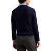 Polo Ralph Lauren Embroidered Crew Neck Long Sleeve Sweater Men Sweater 710974148-001