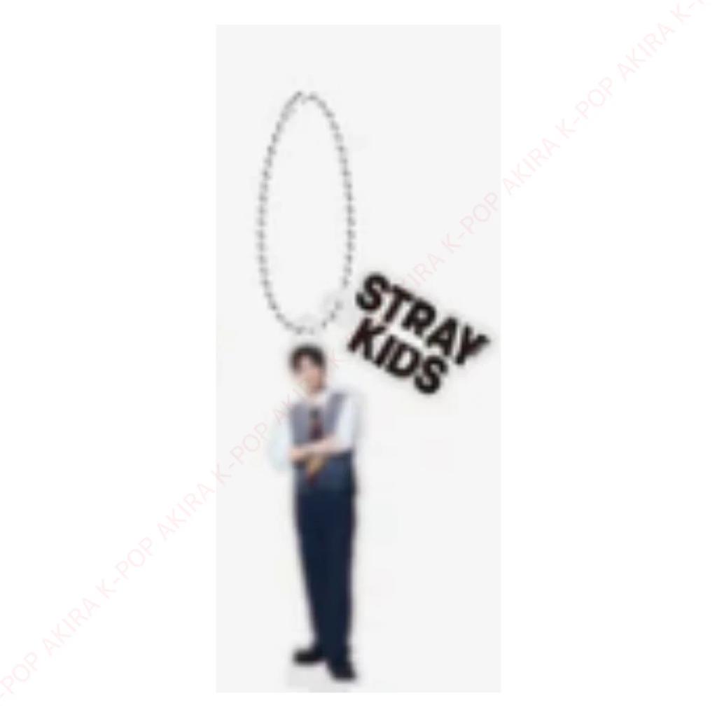 Stray Kids World Tour RUN IT JAPAN OFFICIAL GOODS MD PRE-ORDER