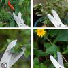Professional Bonsai Scissors Garden Scissors Floral Shears Professional Flower Scissor Comfortable Grip Handle Pruning Shear