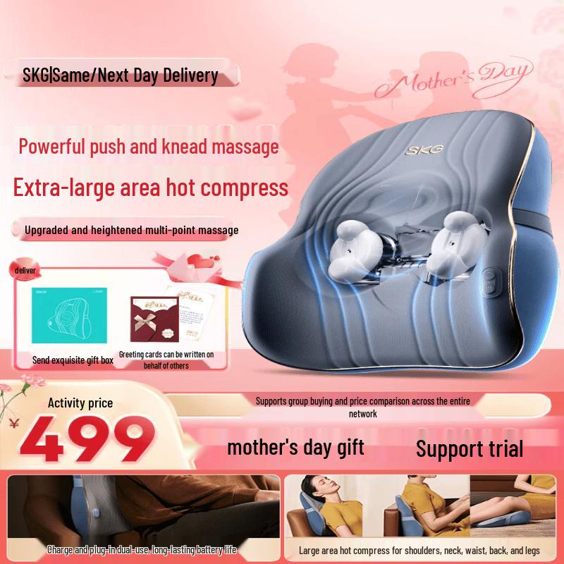 SKG T3-2nd Gen Deluxe Lumbar Massager CN plug (adapter included) Massage & Heat Cushion, Multi-use