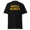 Medula Oblongada