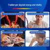 Centrum Men's Multivitamin