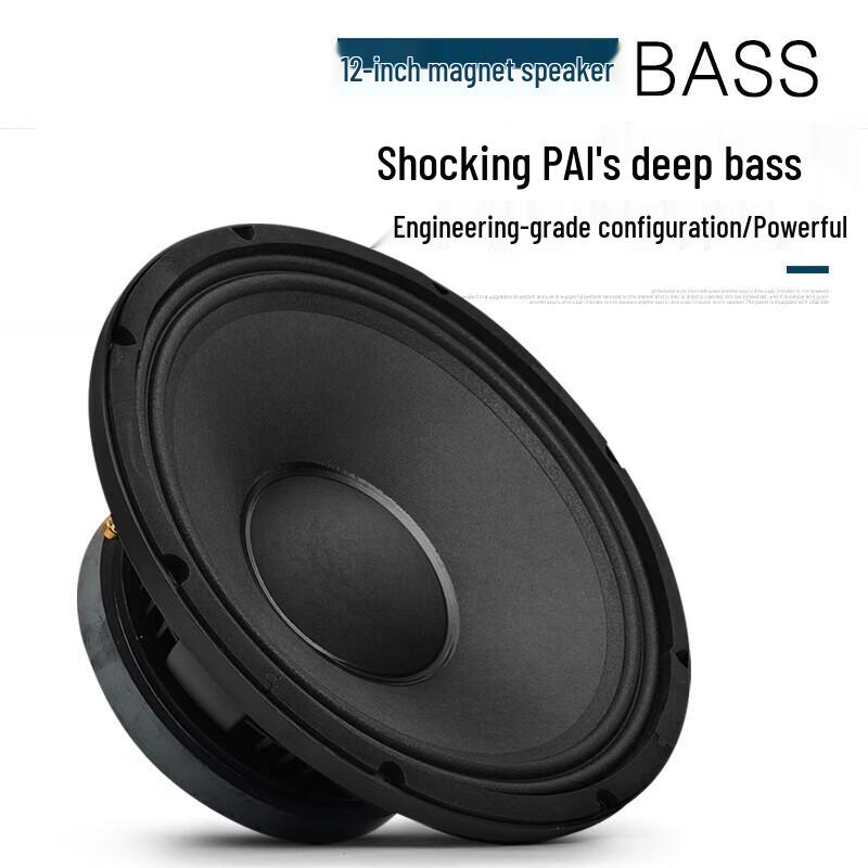 KAXISAIER A12S 12-inch Passive Full-Range Speaker CN Plug (adapter Included) (CN Version)
