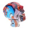 Skull Shape Gear Shift Knob Resin Mixed Pattern Manual Shifter Handle Universal Suitable For Car Modification Accessory