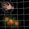 Plant Climbing Netting Roll for Garden Plants White Trellis Netting Outdoor Mesh Support Trellis for Climbing Plants Flowers Veggies