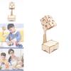 Elementary Diy Science Desk Lamp Children's Small Experiment Illuminating Night Light Wooden Educational Model Wholesale