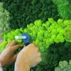 Haute Qualité 100/200/500g Plantes de Simulation Mousse Vie Éternelle Mousse Immortelle Plantes Vertes Fleur Artificielle Décor DIY Mur Paysager