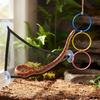 Snake Climbing Hoop Tear Resistant Snake Hoop Ladder Terrarium Decor Lounger Comfortable Lounging Amphibian Lounger Bed
